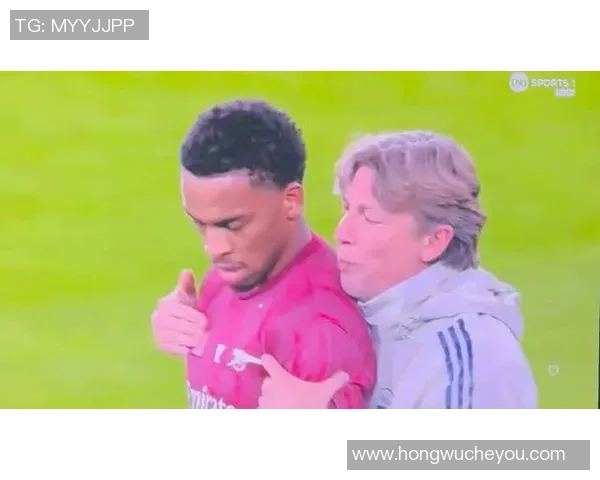 智慧与力量的交响:海因茨的助教之道,如何点燃廷伯的锋芒? 智慧与力量的交响:海因茨的助教之道,如何点燃廷伯的锋芒?