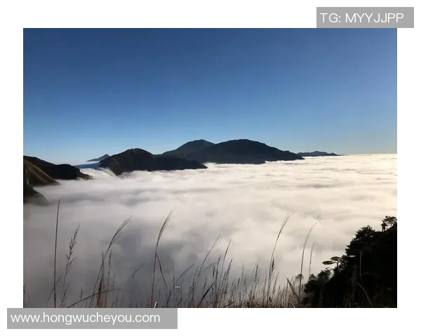 这一钩，惊艳了九年岁月：重回2017，那个让世界静止的“蝎子摆尾”